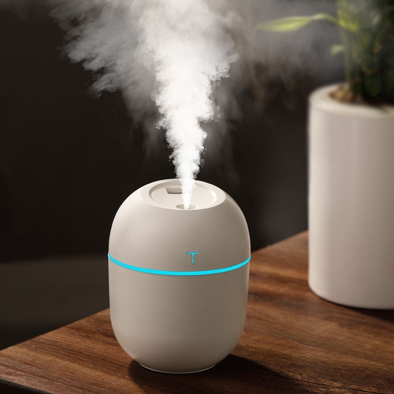 Mini Umidificador de Ar Portátil USB com Luz LED (Formato Egg)